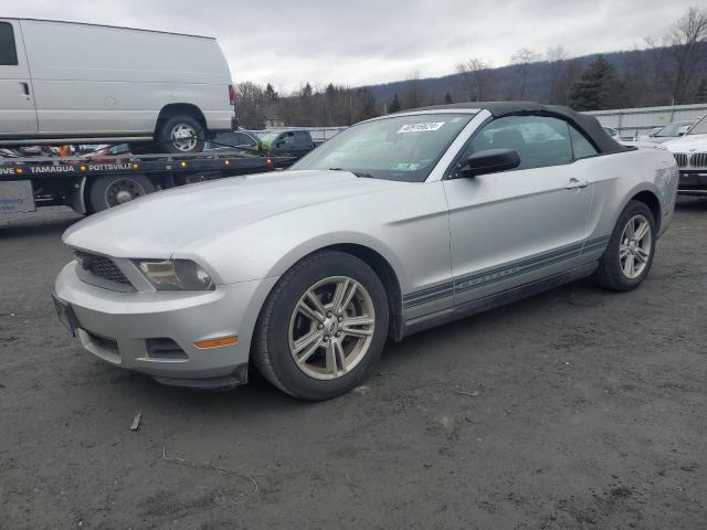 FORD MUSTANG 2010 1zvbp8en1a5116929