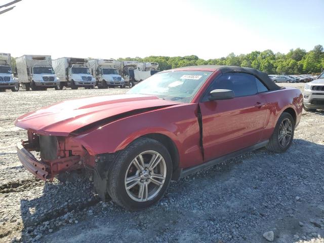 FORD MUSTANG 2010 1zvbp8en1a5123072