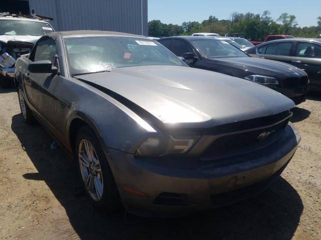 FORD MUSTANG 2010 1zvbp8en1a5143547