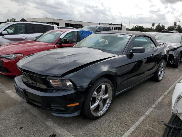 FORD MUSTANG 2010 1zvbp8en1a5164107