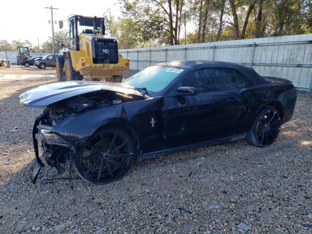 FORD MUSTANG 2010 1zvbp8en1a5164592