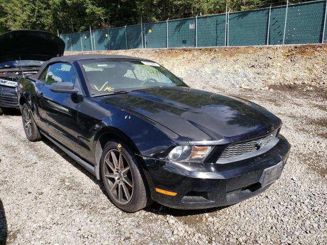 FORD MUSTANG 2010 1zvbp8en1a5169565