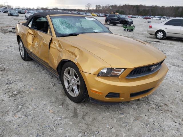 FORD MUSTANG 2010 1zvbp8en1a5170344