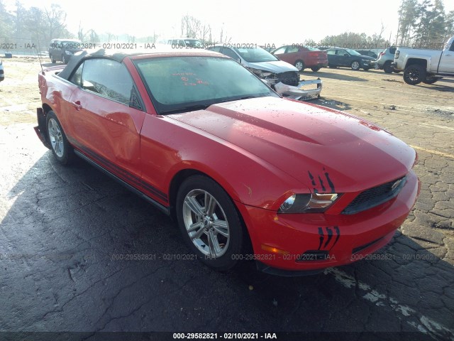 FORD MUSTANG 2010 1zvbp8en1a5173924