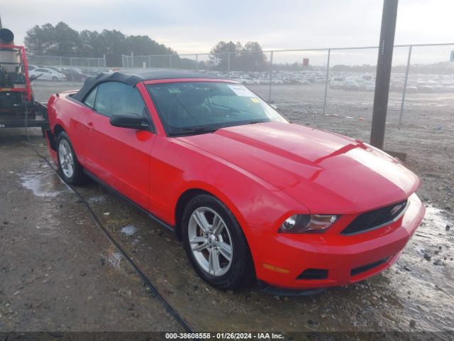 FORD MUSTANG 2010 1zvbp8en1a5177567