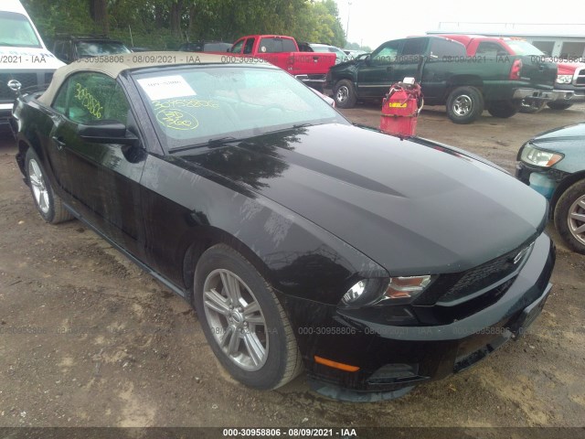 FORD MUSTANG 2010 1zvbp8en1a5177634