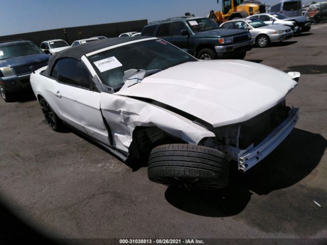 FORD MUSTANG 2010 1zvbp8en1a5177889