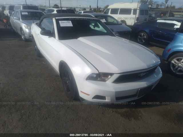 FORD MUSTANG 2010 1zvbp8en2a5122626