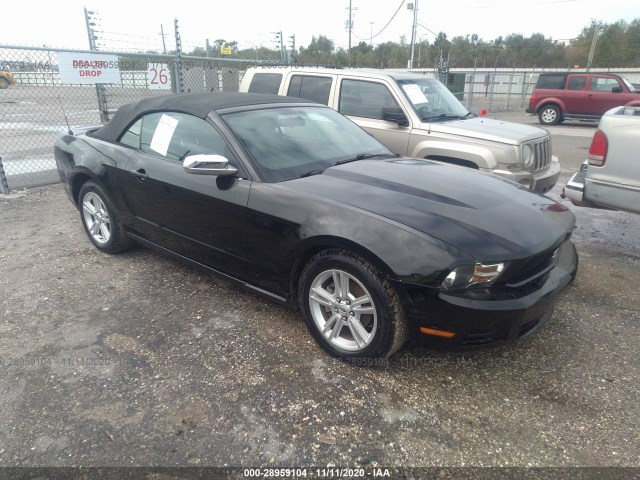 FORD MUSTANG 2010 1zvbp8en2a5142665