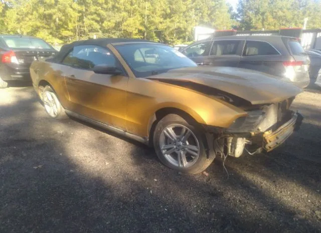 FORD MUSTANG 2010 1zvbp8en2a5163029