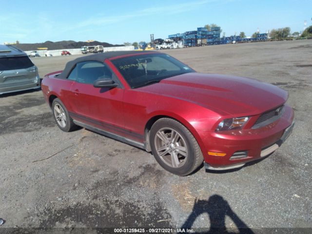 FORD MUSTANG 2010 1zvbp8en2a5171955