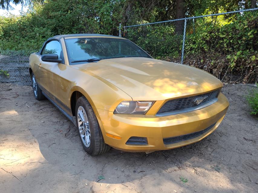 FORD MUSTANG 2010 1zvbp8en2a5172278