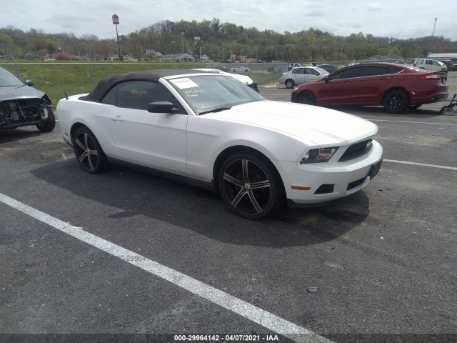 FORD MUSTANG 2010 1zvbp8en2a5172281