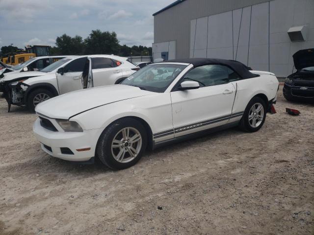 FORD MUSTANG 2010 1zvbp8en2a5173933