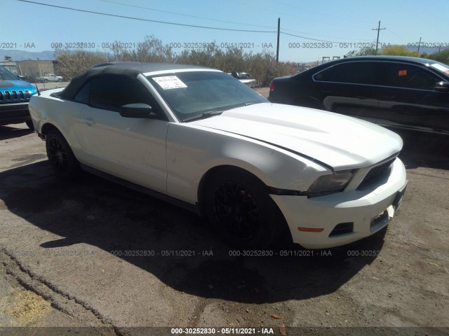 FORD MUSTANG 2010 1zvbp8en2a5177934