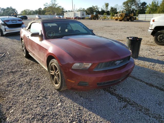 FORD MUSTANG 2010 1zvbp8en3a5109903