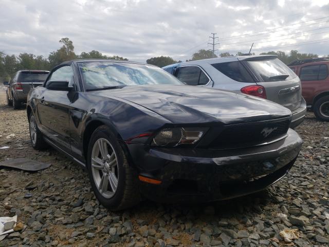 FORD MUSTANG 2010 1zvbp8en3a5114521