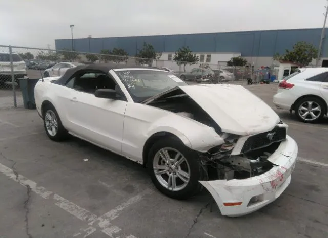 FORD MUSTANG 2010 1zvbp8en3a5142321