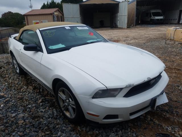 FORD MUSTANG 2010 1zvbp8en3a5167641