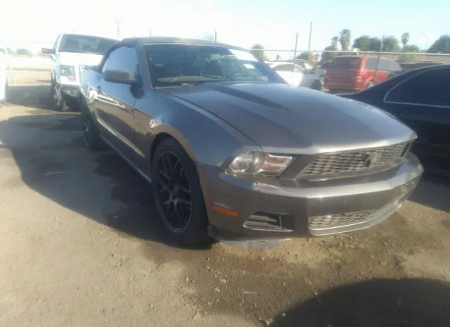 FORD MUSTANG 2010 1zvbp8en3a5171513