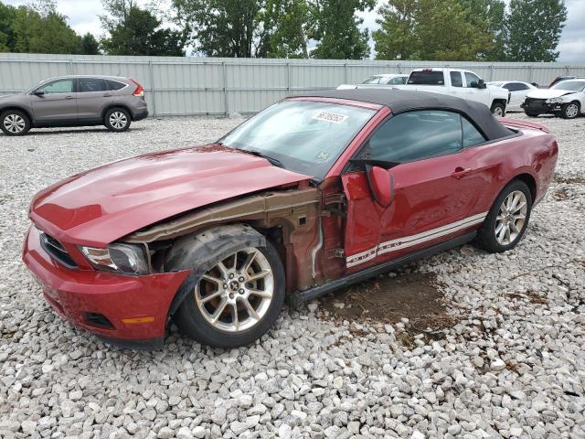 FORD MUSTANG 2010 1zvbp8en3a5177036