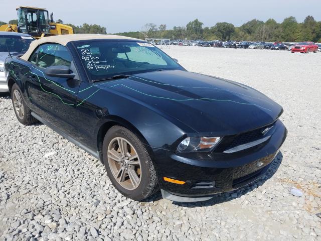 FORD MUSTANG 2010 1zvbp8en3a5178378