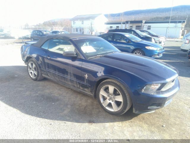 FORD MUSTANG 2010 1zvbp8en4a5105438