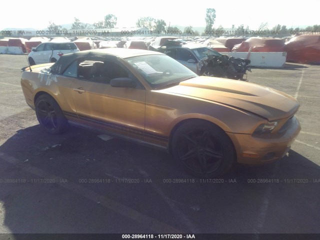 FORD MUSTANG 2010 1zvbp8en4a5108727