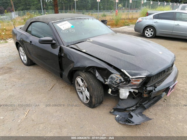 FORD MUSTANG 2010 1zvbp8en4a5112017