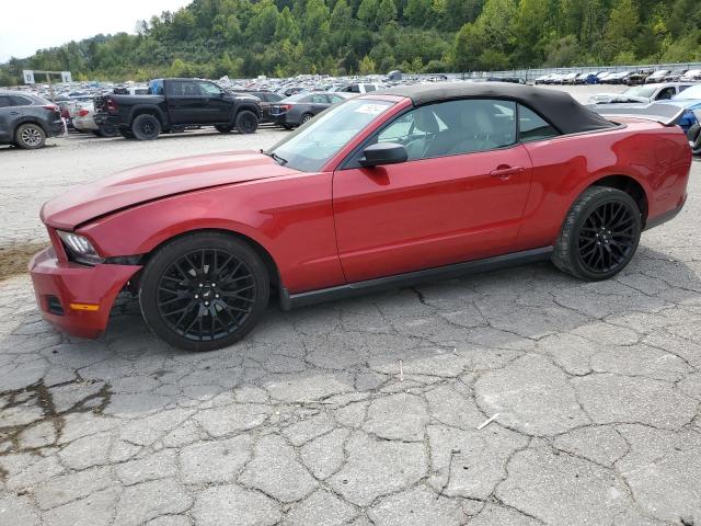 FORD MUSTANG 2010 1zvbp8en4a5121980