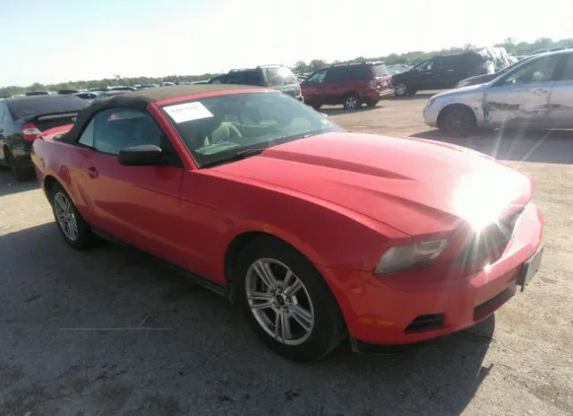 FORD MUSTANG 2010 1zvbp8en4a5122269