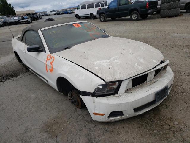 FORD MUSTANG 2010 1zvbp8en4a5122563