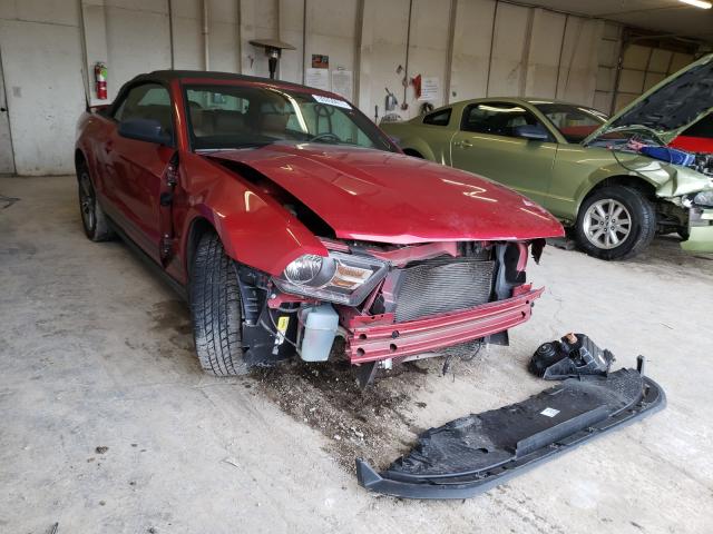 FORD MUSTANG 2010 1zvbp8en4a5127746