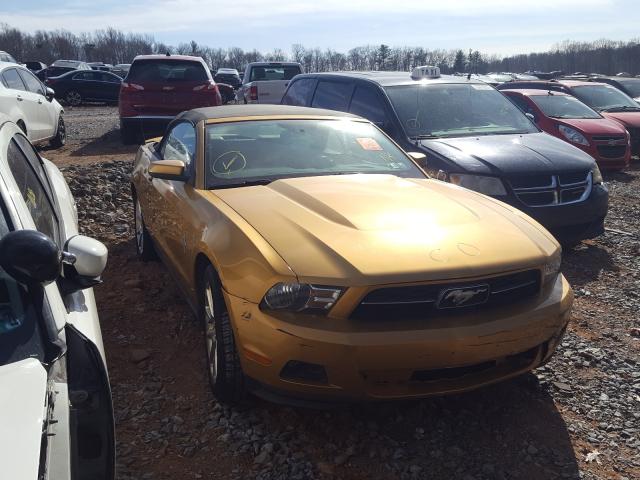 FORD MUSTANG 2010 1zvbp8en4a5134664