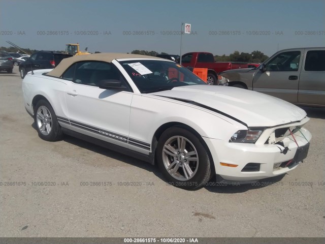 FORD MUSTANG 2010 1zvbp8en4a5162948