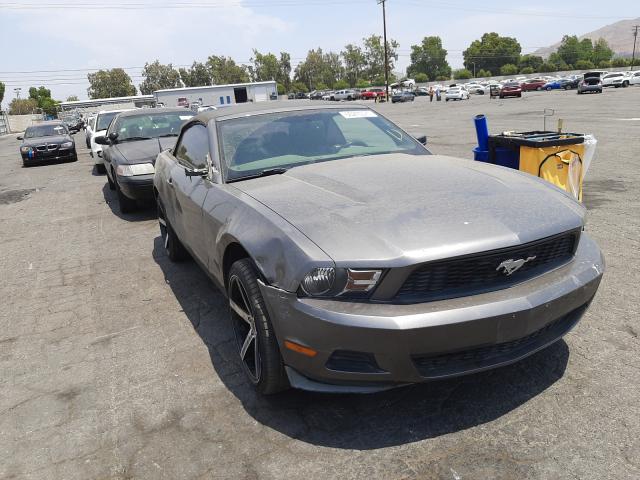 FORD MUSTANG 2010 1zvbp8en4a5166272