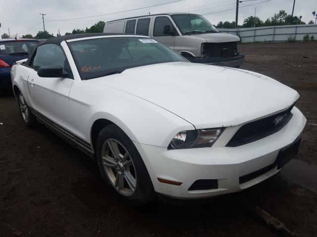 FORD MUSTANG 2010 1zvbp8en4a5171813