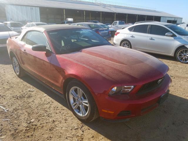 FORD MUSTANG 2010 1zvbp8en4a5175439