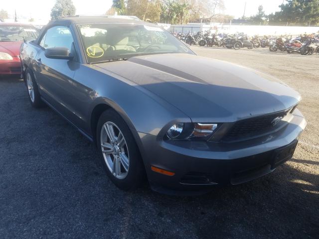 FORD MUSTANG 2010 1zvbp8en4a5175716