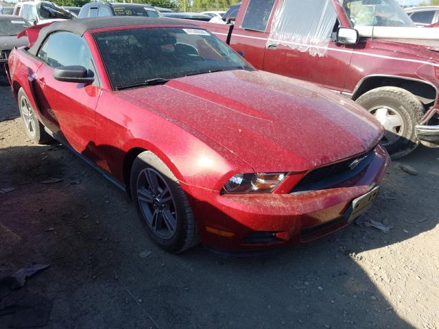 FORD MUSTANG 2010 1zvbp8en4a5177420