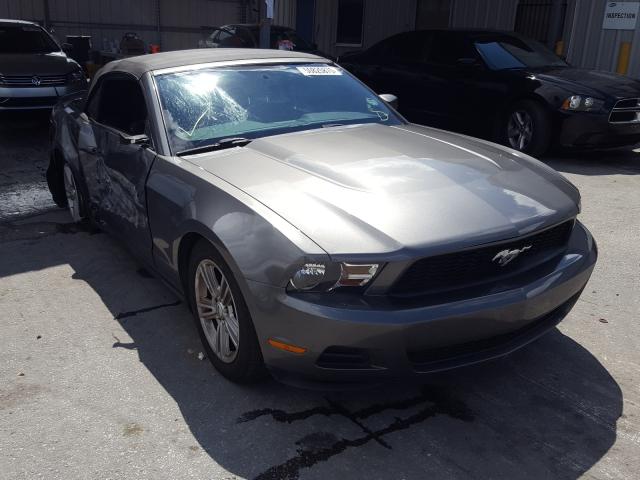 FORD MUSTANG 2010 1zvbp8en4a5177790