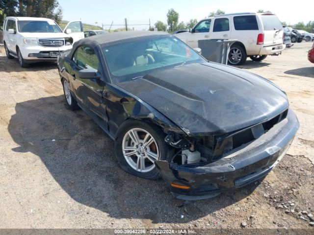 FORD MUSTANG 2010 1zvbp8en4a5179037