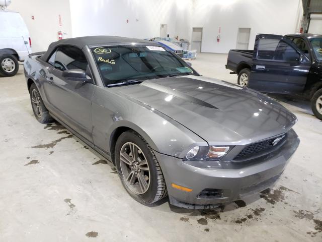 FORD MUSTANG 2010 1zvbp8en5a5109854