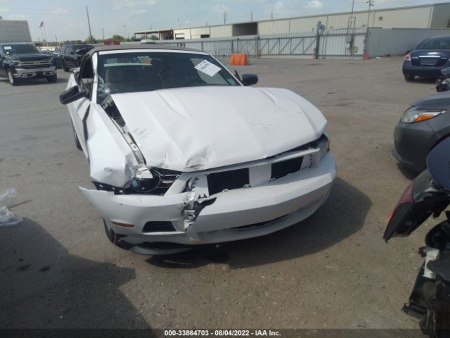 FORD MUSTANG 2010 1zvbp8en5a5167673