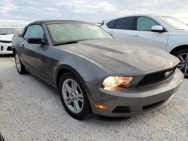 FORD MUSTANG 2010 1zvbp8en5a5179127