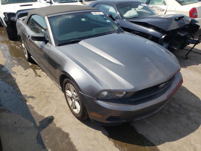 FORD MUSTANG 2010 1zvbp8en6a5113475