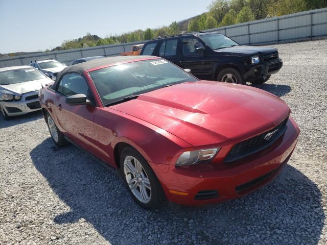 FORD MUSTANG 2010 1zvbp8en6a5114335