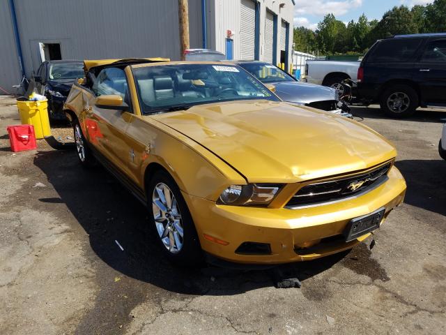 FORD MUSTANG 2010 1zvbp8en6a5117297