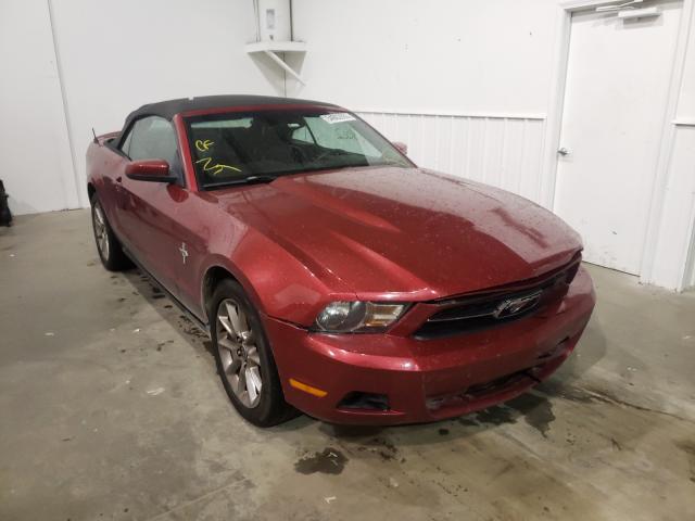 FORD MUSTANG 2010 1zvbp8en6a5135489