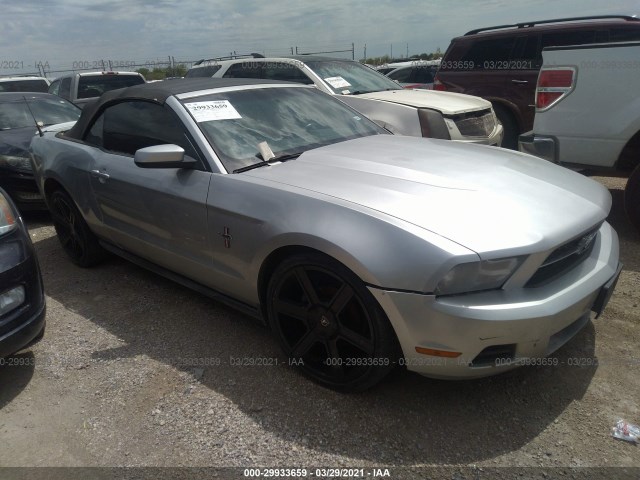 FORD MUSTANG 2010 1zvbp8en6a5136870